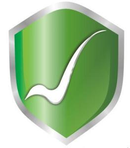 互聯網藥品信息服務管理辦法 規范網絡平臺，保障公眾用藥安全