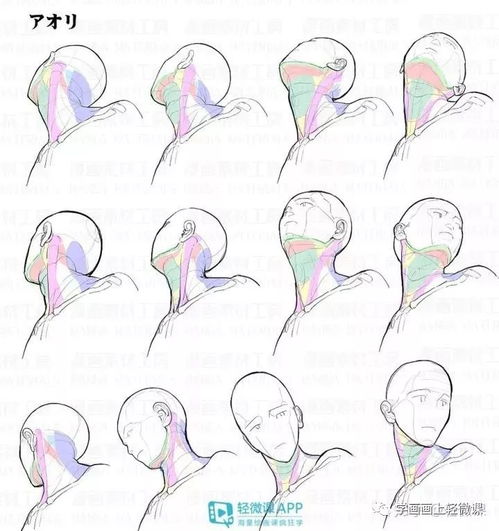 不會畫頭像？這100張高清素材趕緊收藏，平面設計必備！